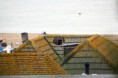 /album/fotogaleria/img-3310-jpg/
