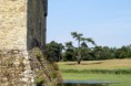 /album/leeds-castle/img-1874-jpg/