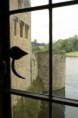 /album/leeds-castle/img-3459-jpg/